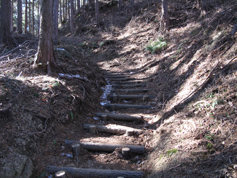 20160128hike (32)